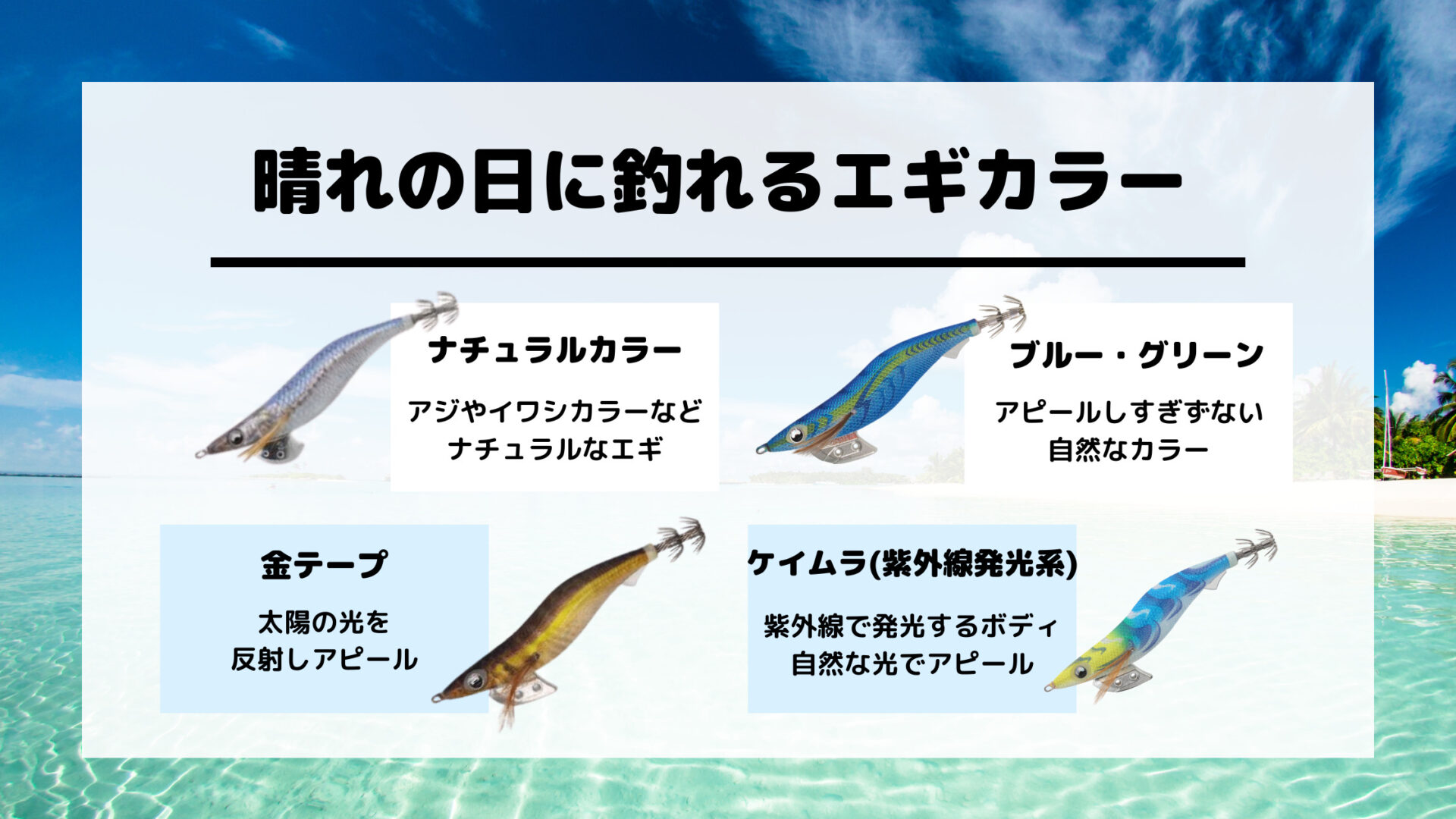 【2026年最新】日中に釣れるエギカラーTOP6|晴れ・曇り・雨も完全攻略|エギングGOGOショップ