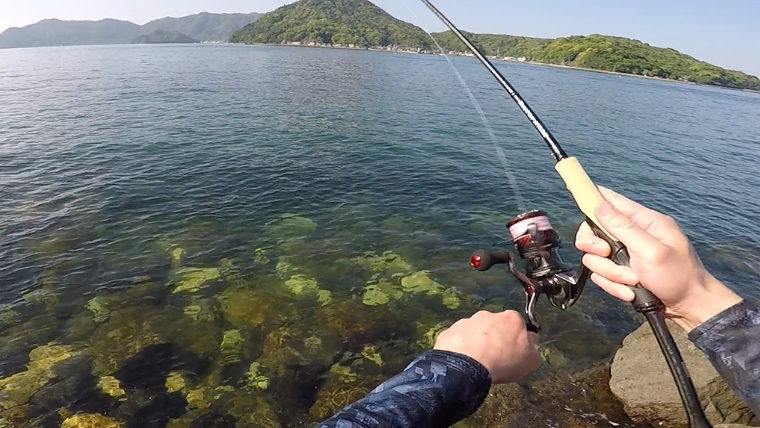 澄んだ海でエギングロッドをあやつる手元