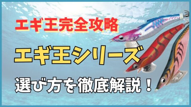 エギ王完全攻略 エギ王シリーズ 選び方を徹底解説