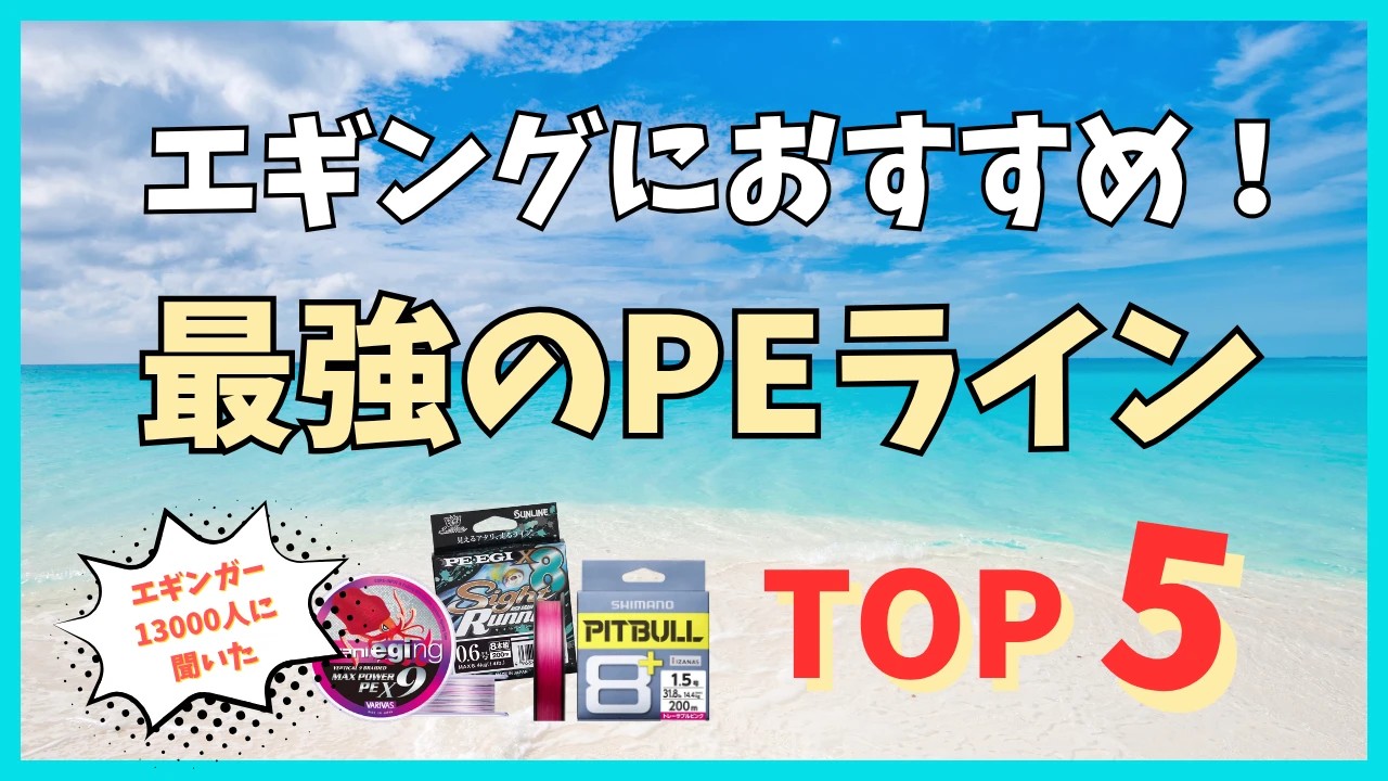 エギングにおすすめ！最強のPEライン TOP5（2026年版）